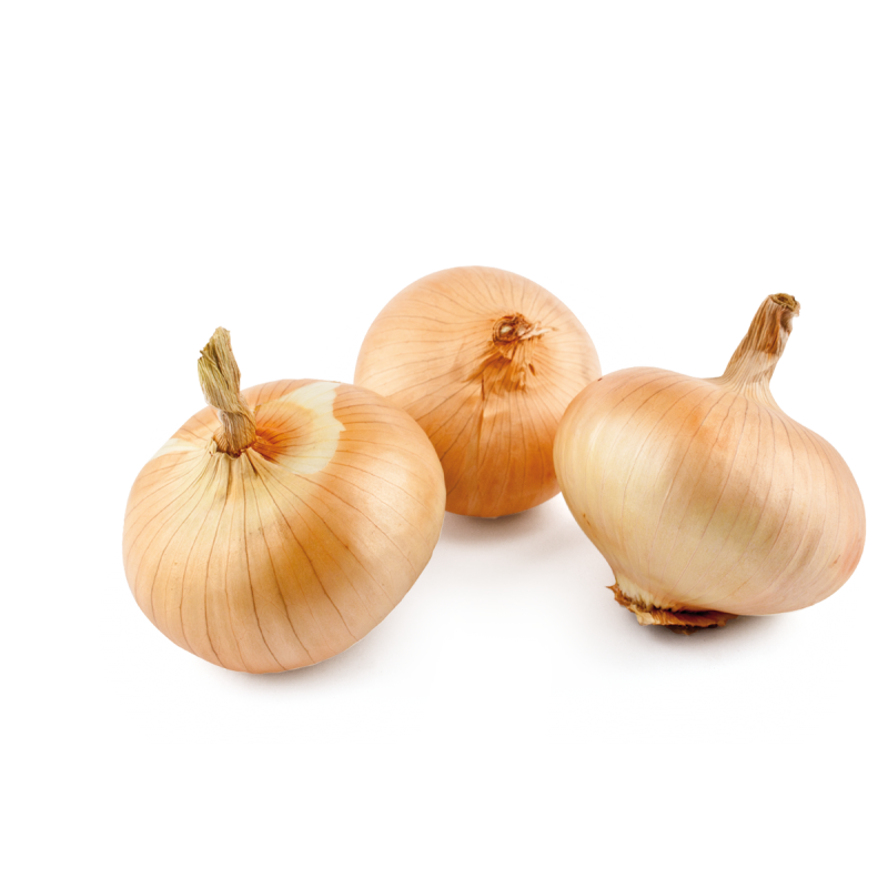 Organic onion