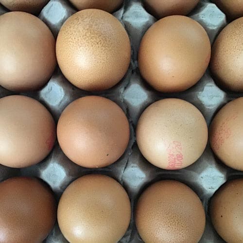 Huevos camperos