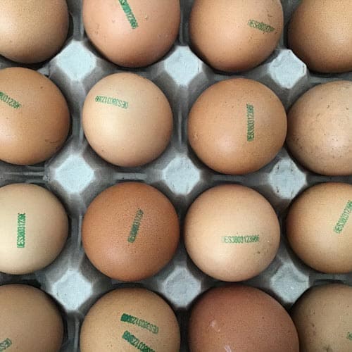 Huevos ecológicos