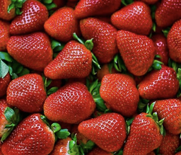 [10189] Organic fresh strawberry